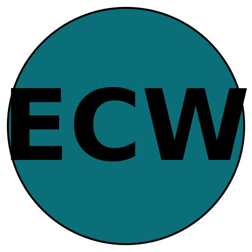 Elite Curated Weddings